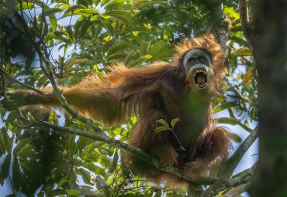 أروع الصور الصحفية  عالميا لعام 2015 صورة رقم 10