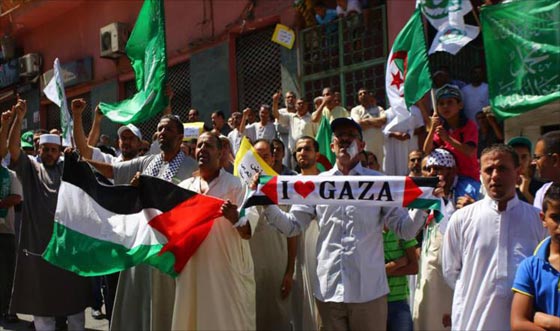 الجزائر تجدد حبها ودعمها ووقوفها مع فلسطين وأهلها صورة رقم 4