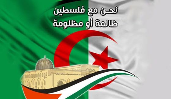 الجزائر تجدد حبها ودعمها ووقوفها مع فلسطين وأهلها صورة رقم 5