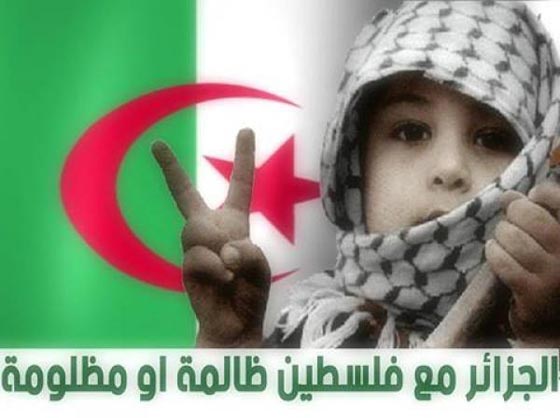 الجزائر تجدد حبها ودعمها ووقوفها مع فلسطين وأهلها صورة رقم 6