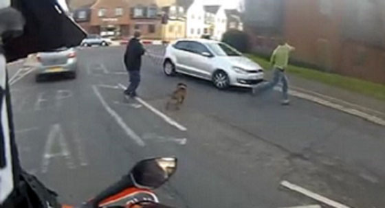 فيديو اشكالي.. احكم بنفسك من المخطئ الداهس ام المدهوس؟ صورة رقم 3