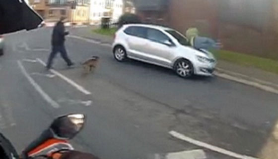 فيديو اشكالي.. احكم بنفسك من المخطئ الداهس ام المدهوس؟ صورة رقم 4