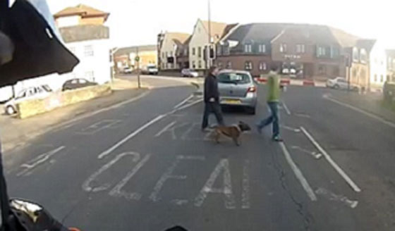 فيديو اشكالي.. احكم بنفسك من المخطئ الداهس ام المدهوس؟ صورة رقم 1