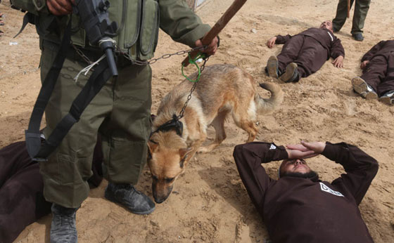 مدعوم من النظام.. تقرير يفضح تعذيب اسرائيل للاسرى الفلسطينيين صورة رقم 9