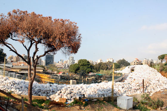 لبنان يصدم العيون باطول طابور نفايات.. شاهد صوره المريعة صورة رقم 9