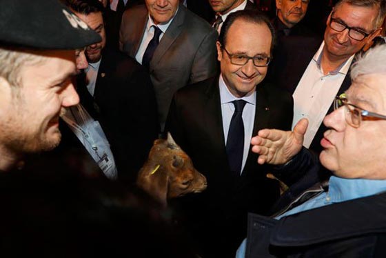 هولاند يتعرض للشتائم والاساءة ومزارعون ينعتونه بالنذل والاحمق صورة رقم 6