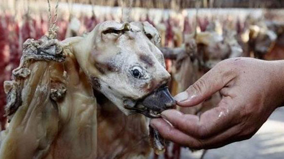 ما حقيقة صور ذبح الكلاب وسلخها لبيع لحومها بمطاعم مصر؟ صورة رقم 7 ما حقيقة صور ذبح الكلاب وسلخها لبيع لحومها بمطاعم مصر؟ صورة رقم 7