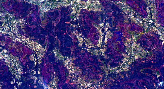 الارض في عام من الصور والحكايات.. كما عاشها الفضائي كيلي صورة رقم 2