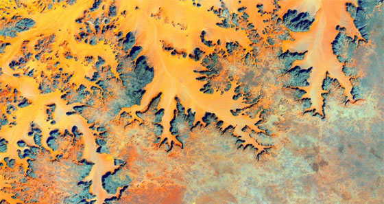 الارض في عام من الصور والحكايات.. كما عاشها الفضائي كيلي صورة رقم 4