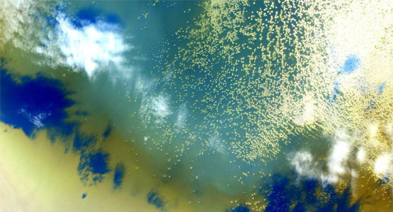 الارض في عام من الصور والحكايات.. كما عاشها الفضائي كيلي صورة رقم 5