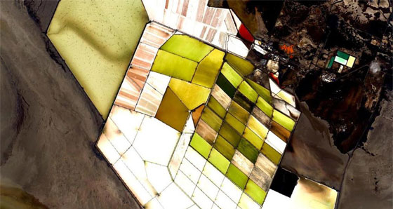 الارض في عام من الصور والحكايات.. كما عاشها الفضائي كيلي صورة رقم 10