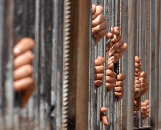 سان فرانسسكو.. هكذا تحول السجن الى حلبة مصارعة على غرار فايت كلاب صورة رقم 1