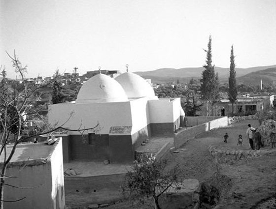  فلسطين أيام زمان: أروع صور قديمة توثق التاريخ، التراث وابطال فلسطين   صورة رقم 5