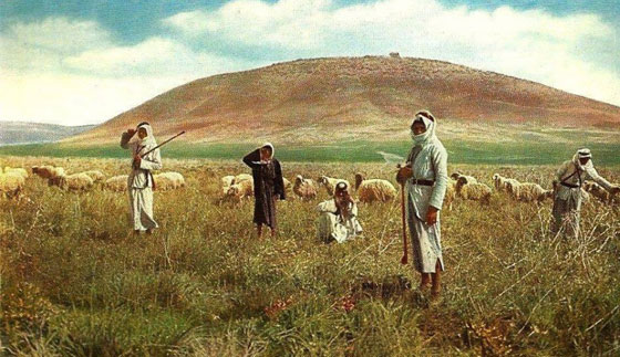  فلسطين أيام زمان: أروع صور قديمة توثق التاريخ، التراث وابطال فلسطين   صورة رقم 8