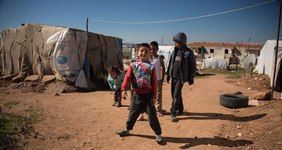 حصاد اللجوء.. سوريون يعملون بظروف العبودية في مزارع تركية صورة رقم 6 حصاد اللجوء.. سوريون يعملون بظروف العبودية في مزارع تركية صورة رقم 6