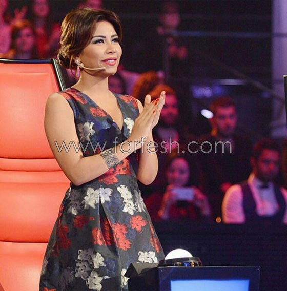 شيرين تتراجع عن قرار الاعتزال بعد 4 ايام وابنتها تعاتب الجمهور صورة رقم 11