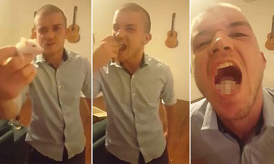 شاب يمثل امام القضاء لانه قضم رأس جرذ صورة رقم 1