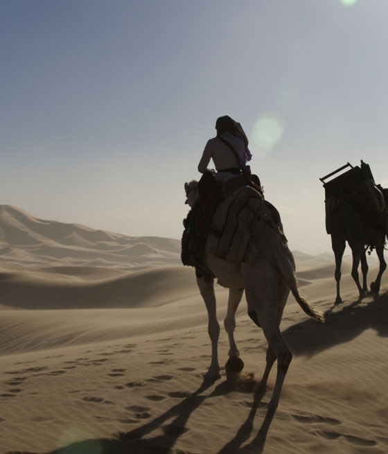 الرحالة نيكول كيدمان قادمة الى حائل على ظهر جمل صورة رقم 1