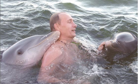 خمسة دلافين تنضم قريبا الى الى صفوف المقاتلين في الجيش الروسي صورة رقم 1