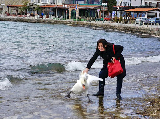 صور صادمة.. سائحة تقتل طائر البجع لتأخذ صورة سيلفي معه! صورة رقم 3