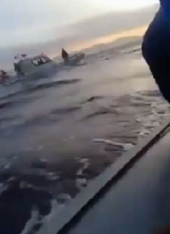 شاهد كيف اعتدى خفر السواحل التركي بالعصي على ضيوف من اللاجئين  صورة رقم 2