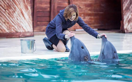 فيديو مدهش.. الدلافين تشارك حسناء روسية احتفالها بعيد ميلادها صورة رقم 1