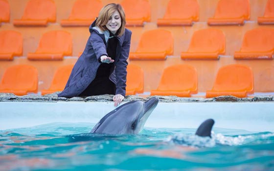 فيديو مدهش.. الدلافين تشارك حسناء روسية احتفالها بعيد ميلادها صورة رقم 2