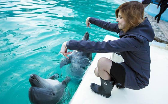 فيديو مدهش.. الدلافين تشارك حسناء روسية احتفالها بعيد ميلادها صورة رقم 3