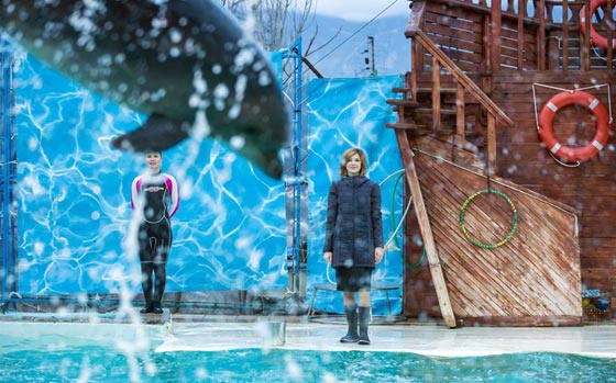 فيديو مدهش.. الدلافين تشارك حسناء روسية احتفالها بعيد ميلادها صورة رقم 6