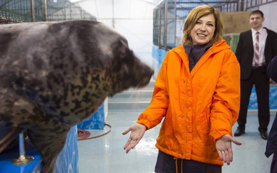 فيديو مدهش.. الدلافين تشارك حسناء روسية احتفالها بعيد ميلادها صورة رقم 7