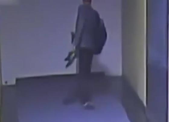 لص يكسر القاعدة وينام في الشركة التي سرقها.. شاهد بالفيديو ما حصل له  صورة رقم 2