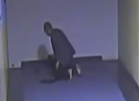 لص يكسر القاعدة وينام في الشركة التي سرقها.. شاهد بالفيديو ما حصل له  صورة رقم 3