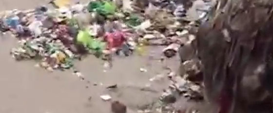 فيديو قذر.. سائق شاحنة يفرغ جبل من القمامة في مياه النهر صورة رقم 1