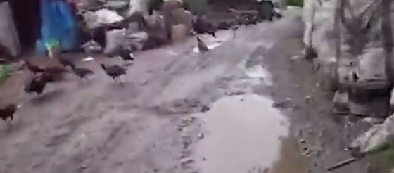 فيديو قذر.. سائق شاحنة يفرغ جبل من القمامة في مياه النهر صورة رقم 4