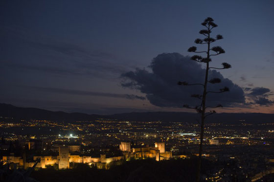 ساعة الارض تشغل 180 بلدا وتدهش الملايين.. اليكم ما حصل خلالها صورة رقم 20