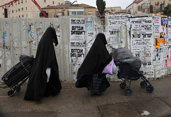 الحريديم.. الفرقة المعتزلة بين اليهود لغتهم الايدش ويتزوجون بنساء طالبان صورة رقم 3