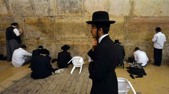 الحريديم.. الفرقة المعتزلة بين اليهود لغتهم الايدش ويتزوجون بنساء طالبان صورة رقم 5