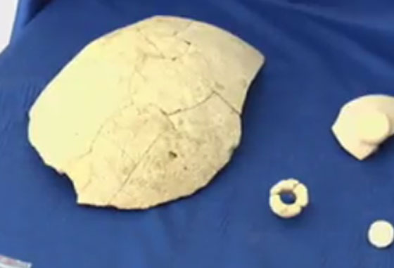 اكتشاف آثار بالكويت تسلط الضوء على حضارات العبيد والفراعنة صورة رقم 2