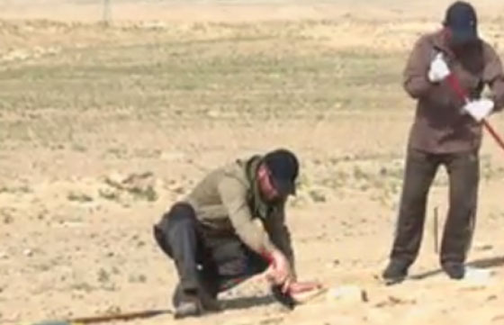 اكتشاف آثار بالكويت تسلط الضوء على حضارات العبيد والفراعنة صورة رقم 4