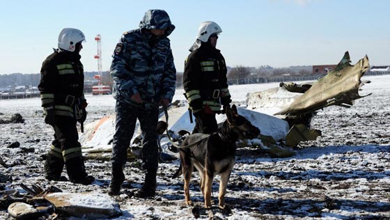  طيار في فلاي دبي: الطيارون يعملون في ظروف غير انسانية والكوارث نتيجة حتمية صورة رقم 2