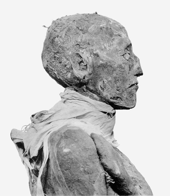 هكذا جرى اغتيال رمسيس الثالث بالتفاصيل المروعة.. منها قطع ابهامه وجز حنجرته!! صورة رقم 6