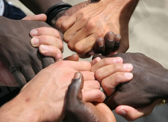 صور كلها عبر.. التقطتها مربية في حضانة للاطفال صورة رقم 2