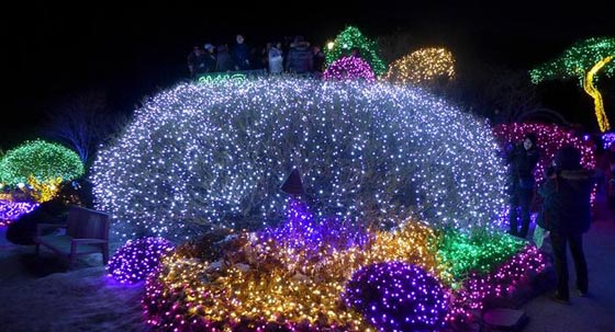 صور رائعة: سحر الانارة الملونة يضئ مدن العالم، وترقبوا مهرجان الاضواء في القدس القديمة   صورة رقم 3