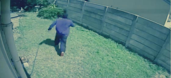 كلب حراسة تبين انه صغير.. يطارد لصا مقتحما بشراسة صورة رقم 2