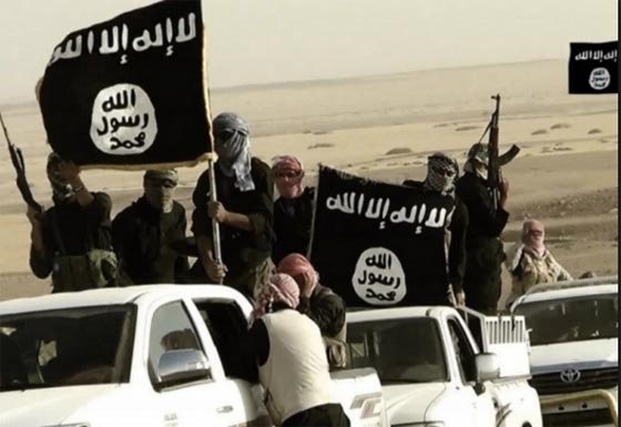 كيف تسربت سيارات تويوتا الى داعش؟ وعددها يفوق عدد المقاتلين! صورة رقم 10