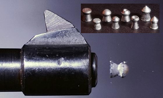 ادعى انه نبي الله وحمل سلاحه فتلقى رصاصة وسقط مضرجا بدمائه في الكونغرس صورة رقم 2