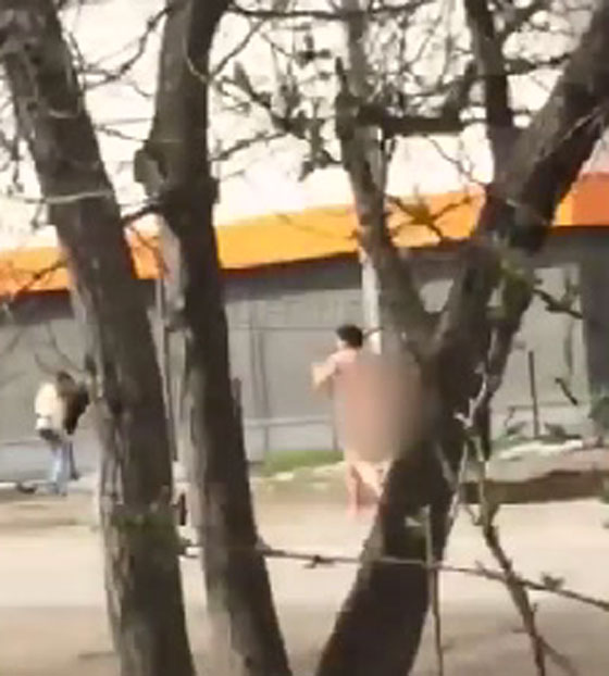 امرأة تتجول منزوعة في مدينة كراسنودار تشغل بال شرطتها صورة رقم 1