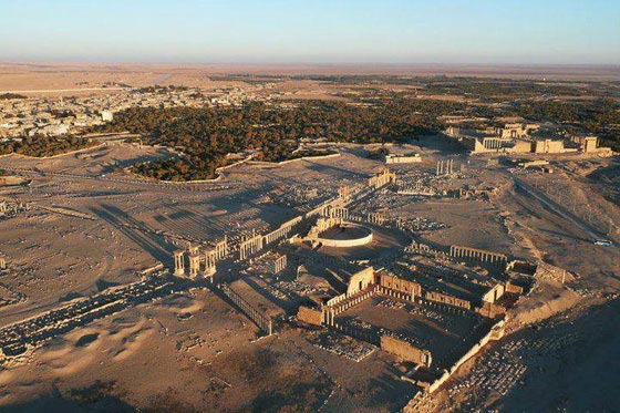  نجل مدير آثار تدمر يبحث عن جثة والده الذي اعدمه داعش بقطع الرأس  صورة رقم 10