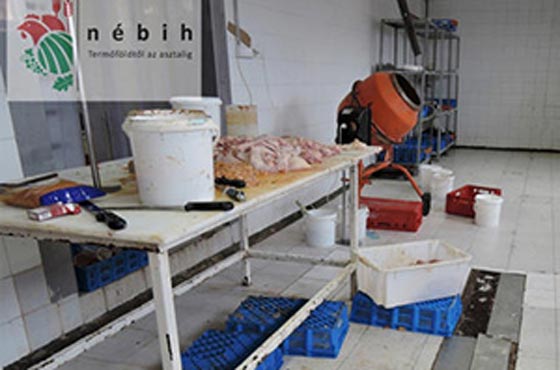 فضائح أغذية في أوروبا: لحم قرود بدل البقر، سكر مغشوش وزيتون بالنحاس!  صورة رقم 5