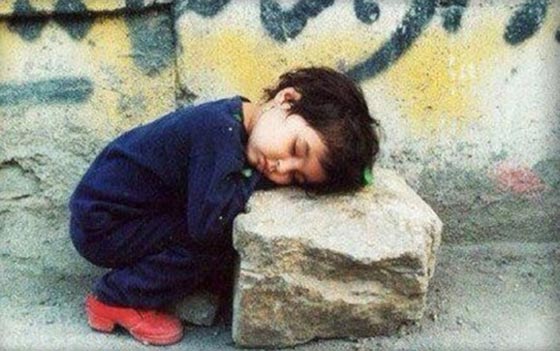 شيخ البحوث المصرية يرى في تحريم سلفيين لعيد اليتيم نكسة فكرية صورة رقم 6